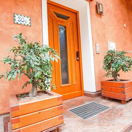 House In With Garden *